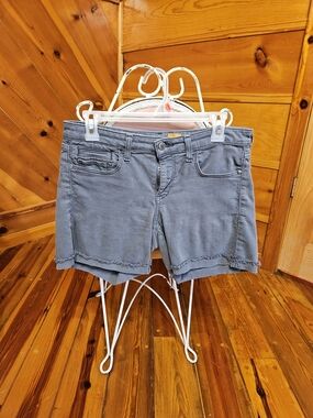 Anthropologie Shorts Size 4
